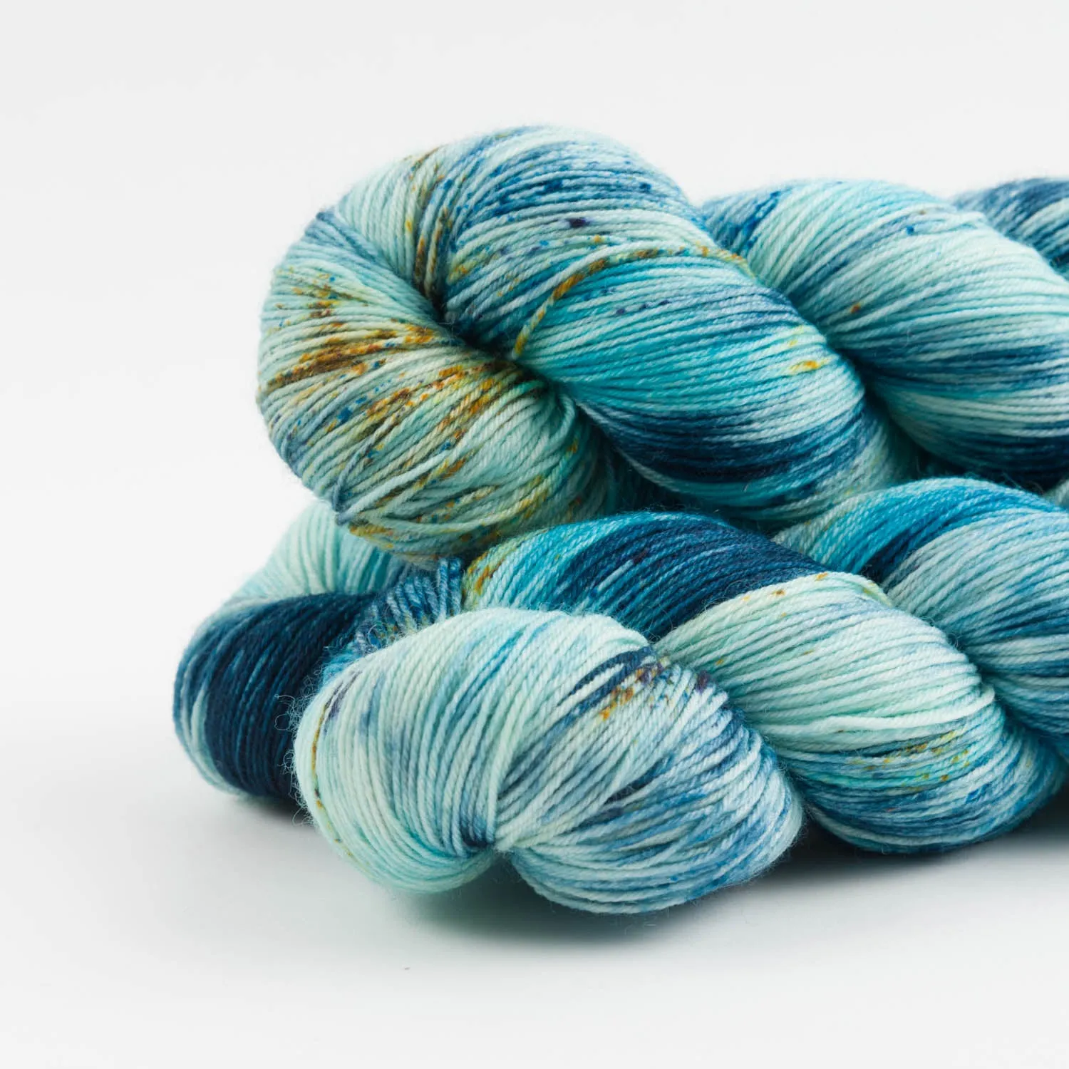 BIRDSTREET BFL - BLUE IGUANA