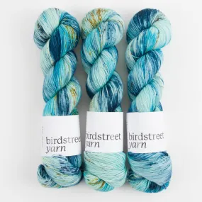 BIRDSTREET BFL - BLUE IGUANA