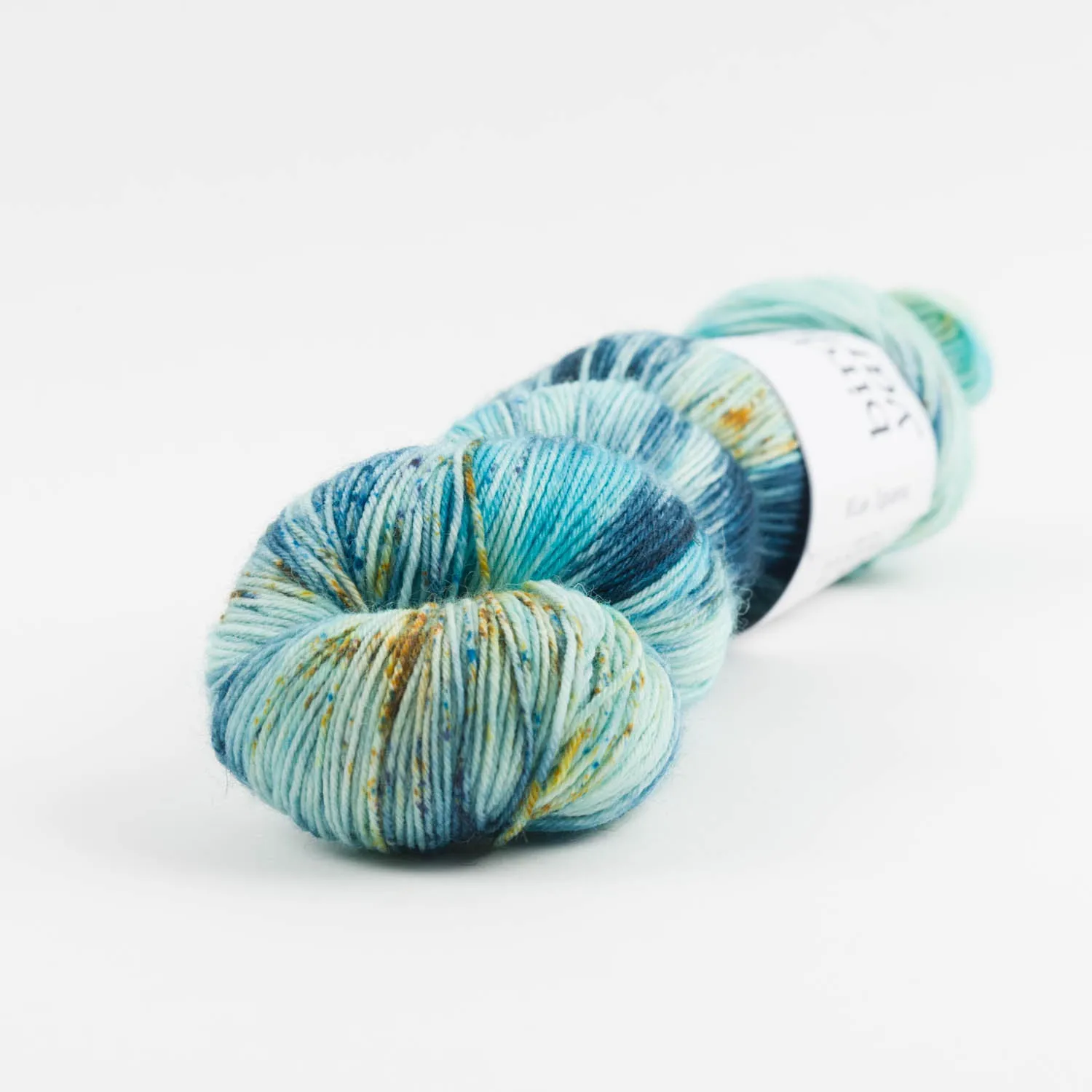 BIRDSTREET BFL - BLUE IGUANA