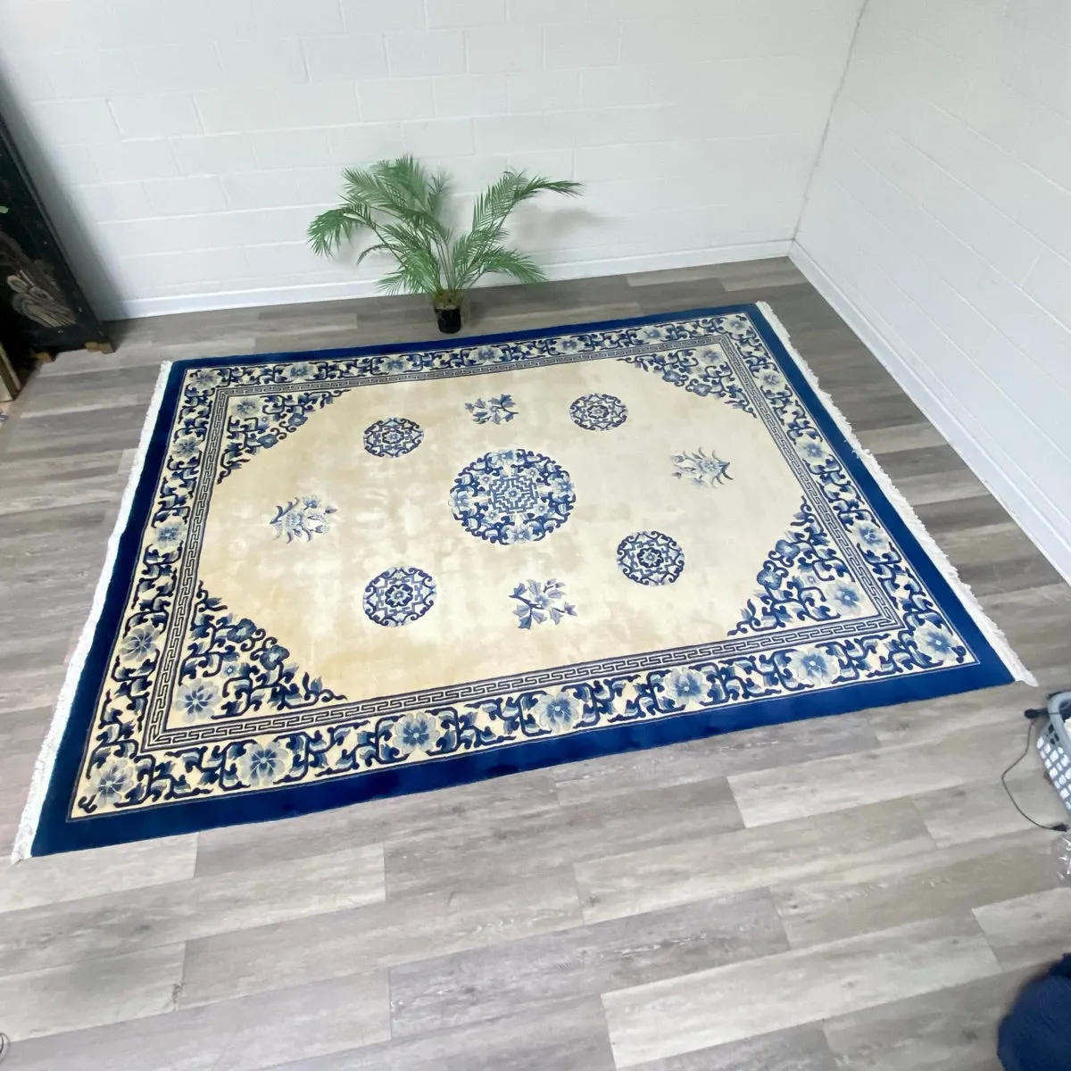 Blue & Ivory Area Rug