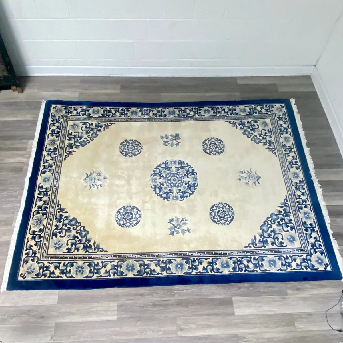 Blue & Ivory Area Rug