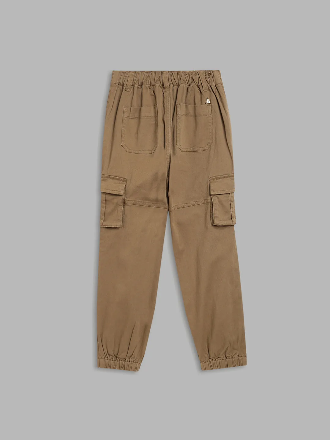 Blue Giraffe Boys Beige Solid Regular Fit Trouser