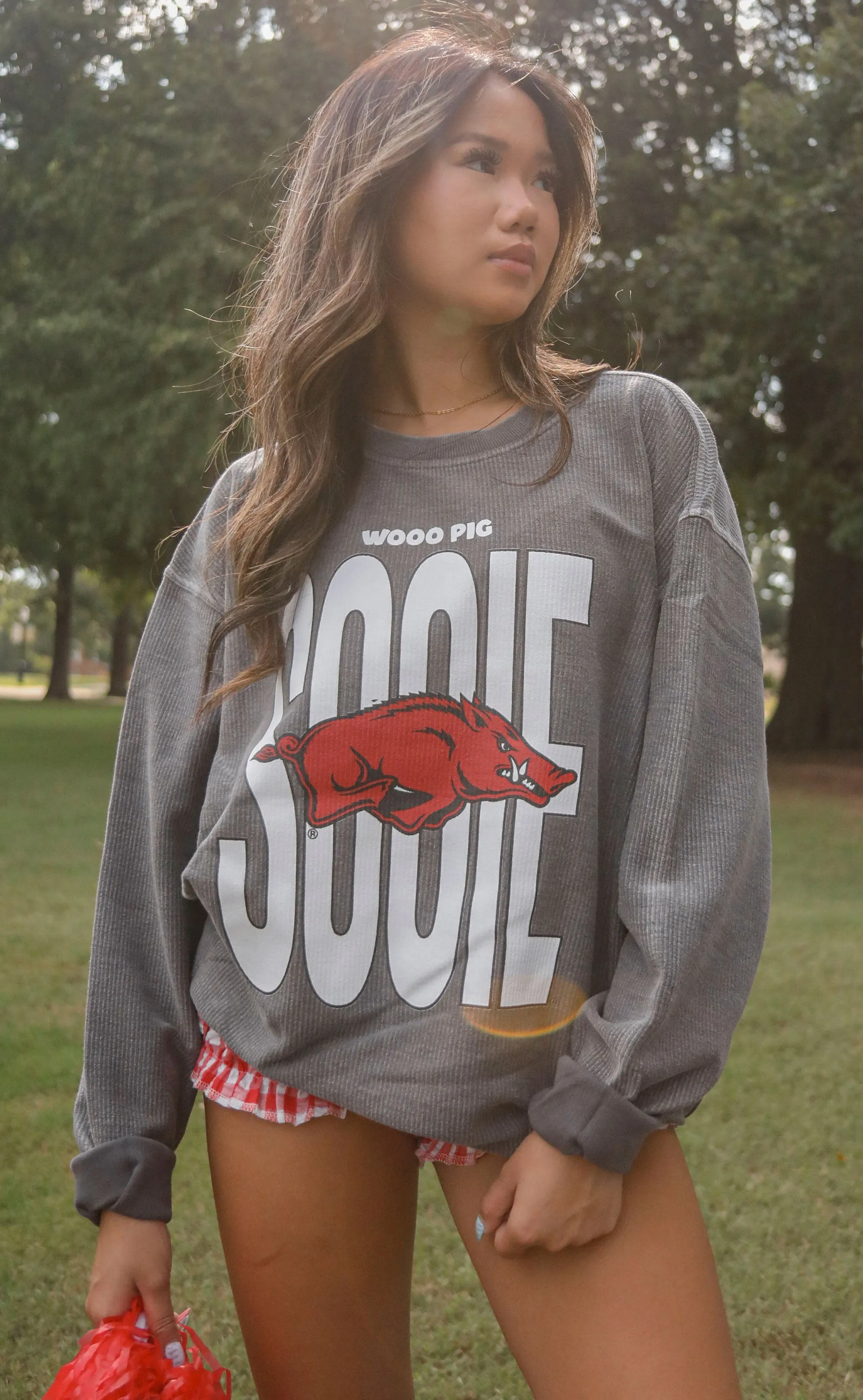 charlie southern: arkansas woo pig sooie corded sweatshirt