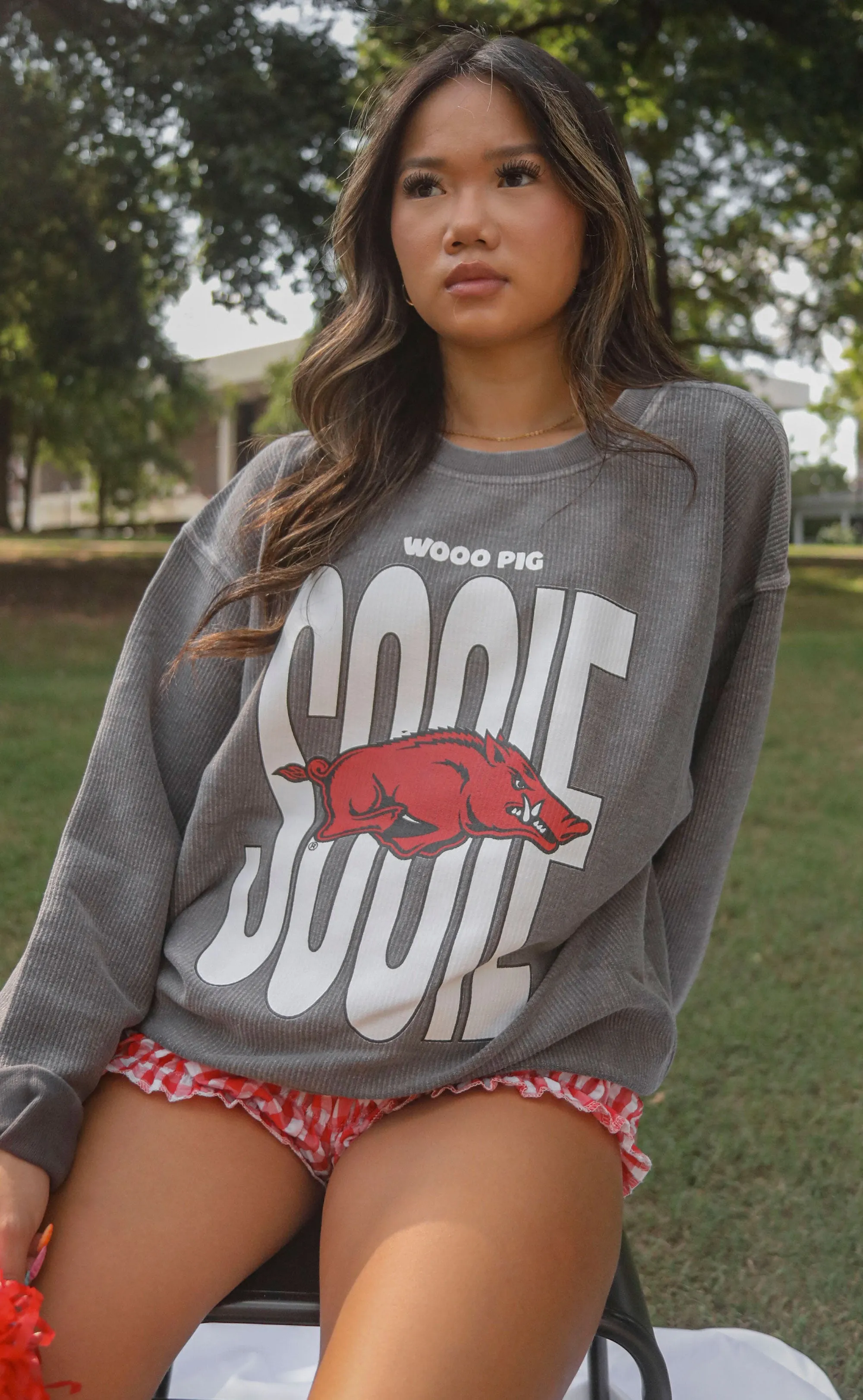 charlie southern: arkansas woo pig sooie corded sweatshirt