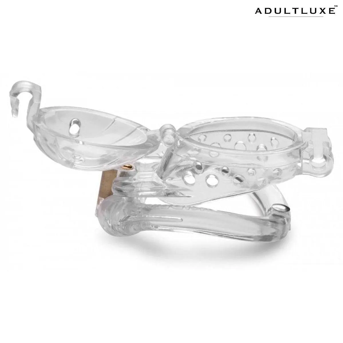 Master Series Custome Lockdown Chastity Cage